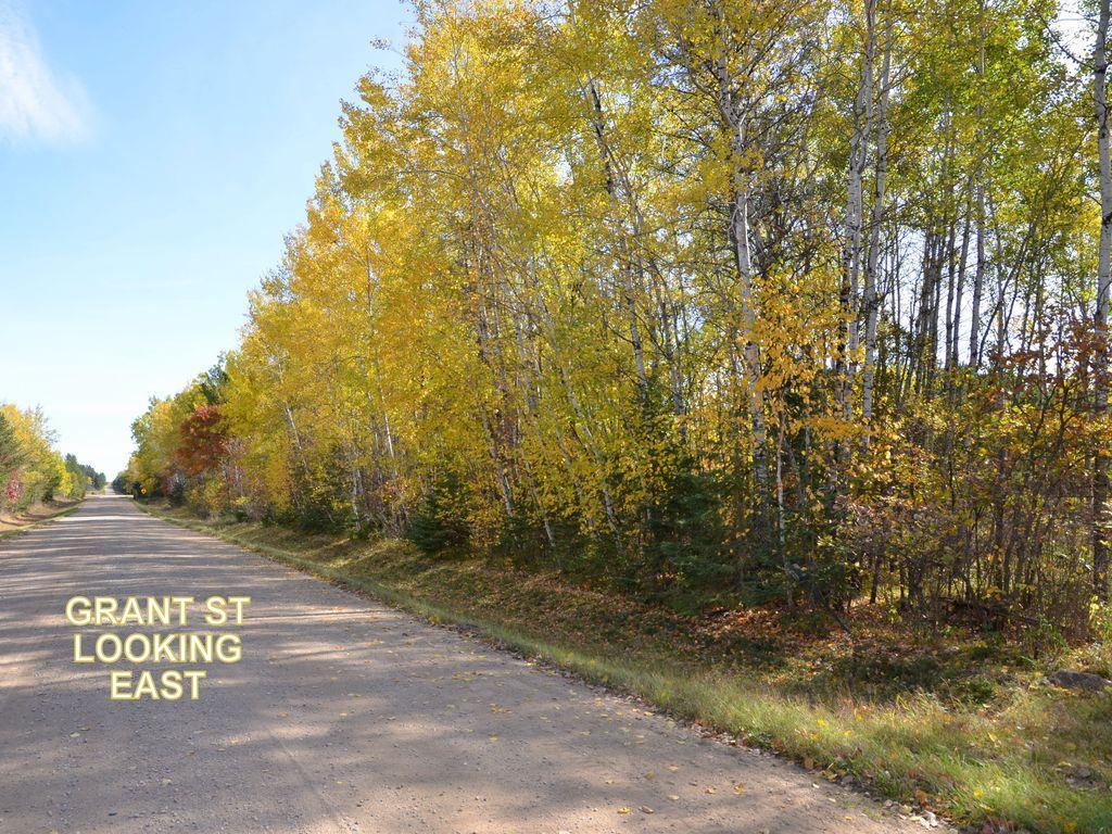 land for sale at XXX Grant Street in Park Rapids, MN (photo 20 of 33)