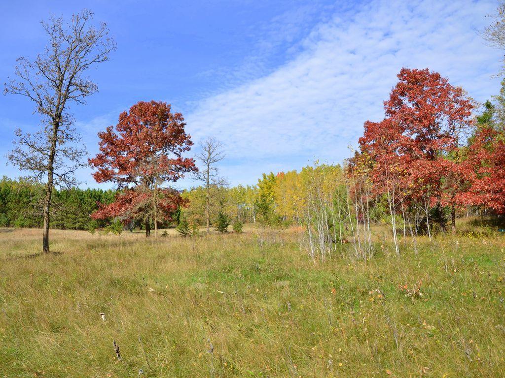 land for sale at XXX Grant Street in Park Rapids, MN (photo 3 of 33)
