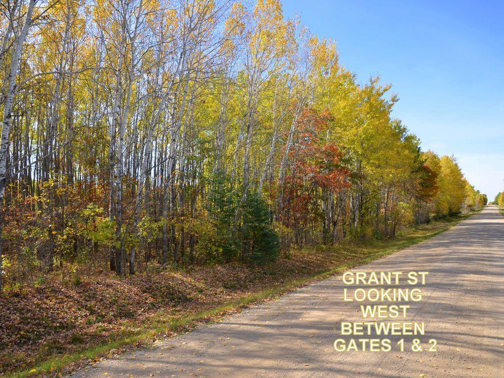land for sale at XXX Grant Street in Park Rapids, MN (photo 23 of 33)