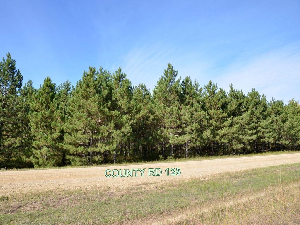 land for sale at XXX Grant Street in Park Rapids, MN (photo 25 of 33)