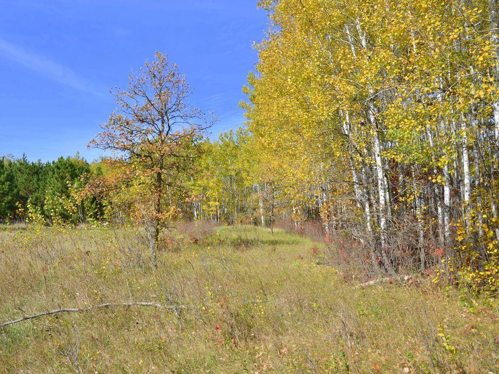 land for sale at XXX Grant Street in Park Rapids, MN (photo 7 of 33)