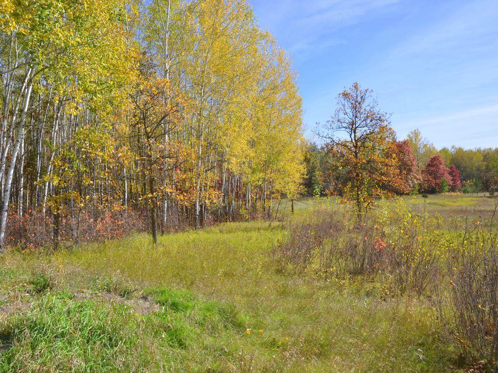 land for sale at XXX Grant Street in Park Rapids, MN (photo 8 of 33)