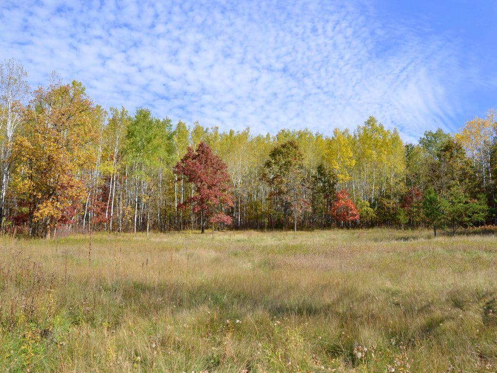 land for sale at XXX Grant Street in Park Rapids, MN (photo 9 of 33)