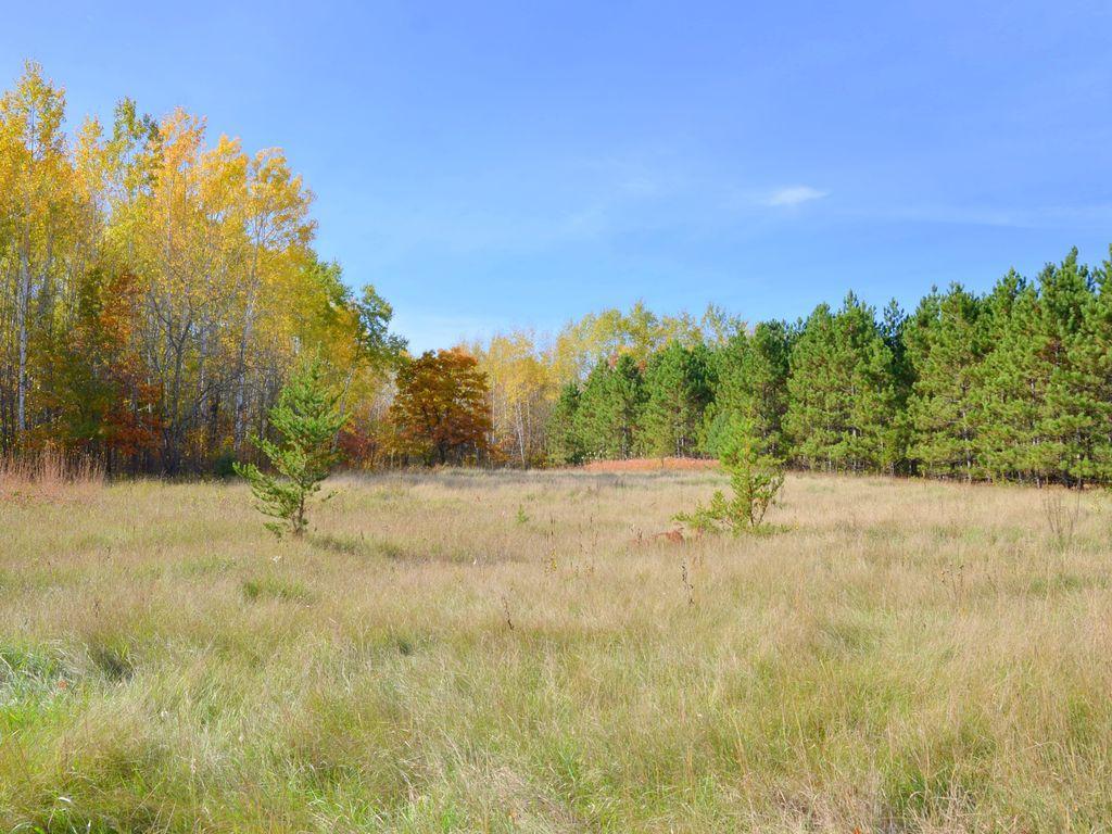 land for sale at XXX Grant Street in Park Rapids, MN (photo 10 of 33)