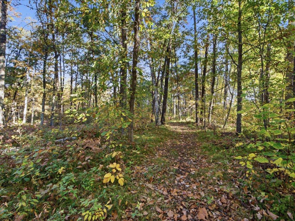 2021 single family home for sale at 33977 Pine View Lane in Crosslake, MN — 3 bed, 2 bath (photo 22 of 29)