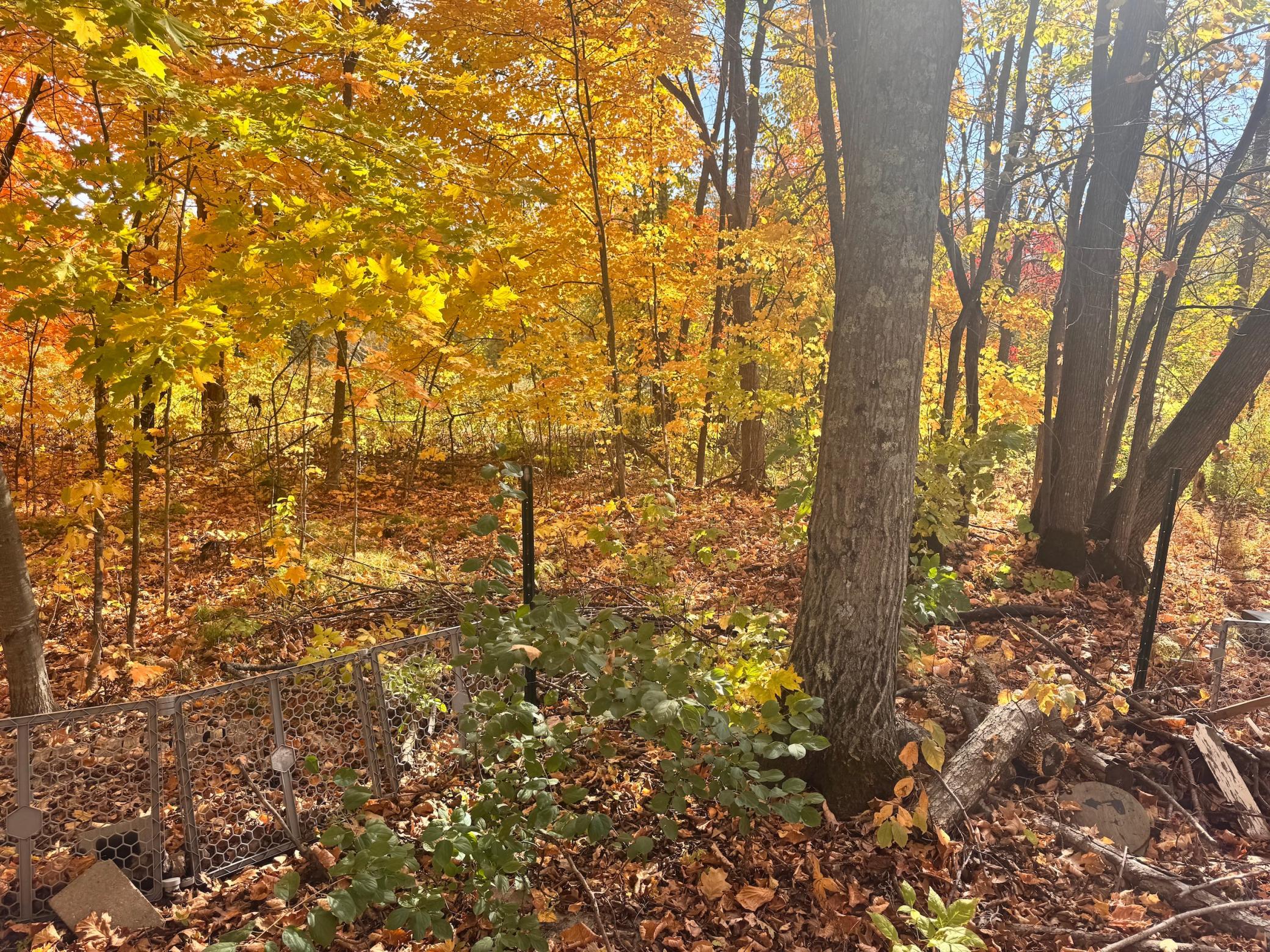 land for sale at Blk 6 Lot 18 Canterbury Town in Aitkin, MN (photo 3 of 15)