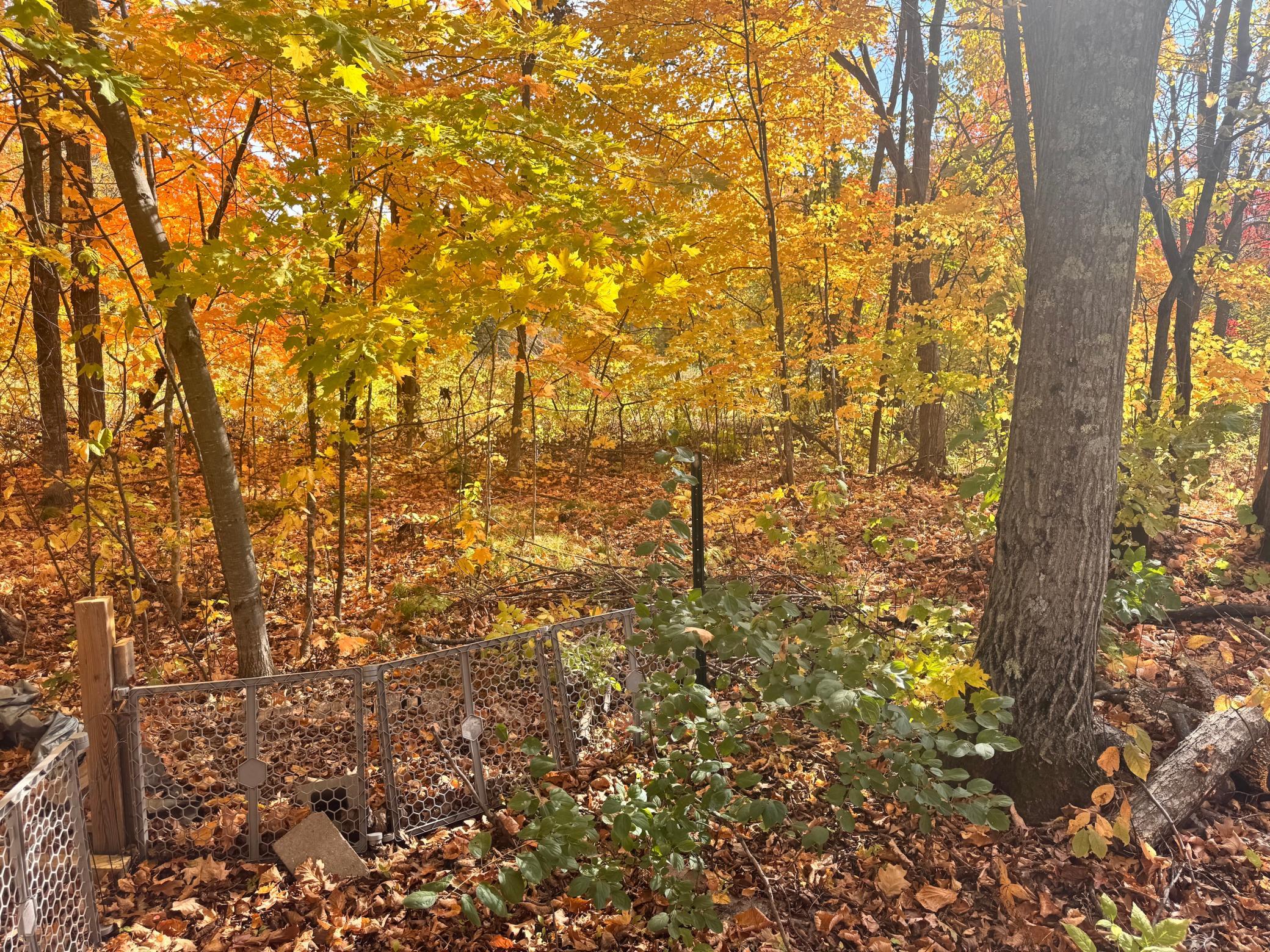 land for sale at Blk 6 Lot 18 Canterbury Town in Aitkin, MN (photo 4 of 15)