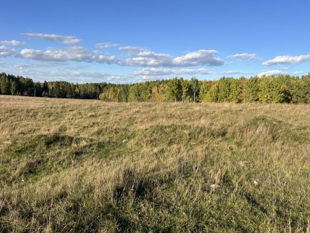 1950 land for sale at 19212 Stockyard Road in Bagley, MN (photo 11 of 18)