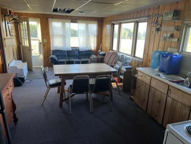 1950 land for sale at 19212 Stockyard Road in Bagley, MN (photo 18 of 18)
