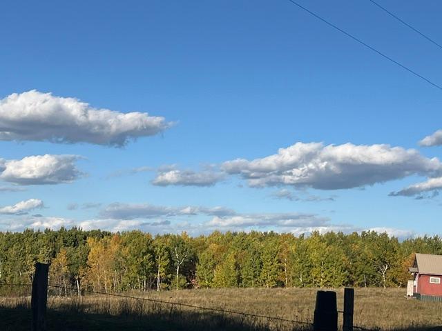 1950 land for sale at 19212 Stockyard Road in Bagley, MN (photo 3 of 18)