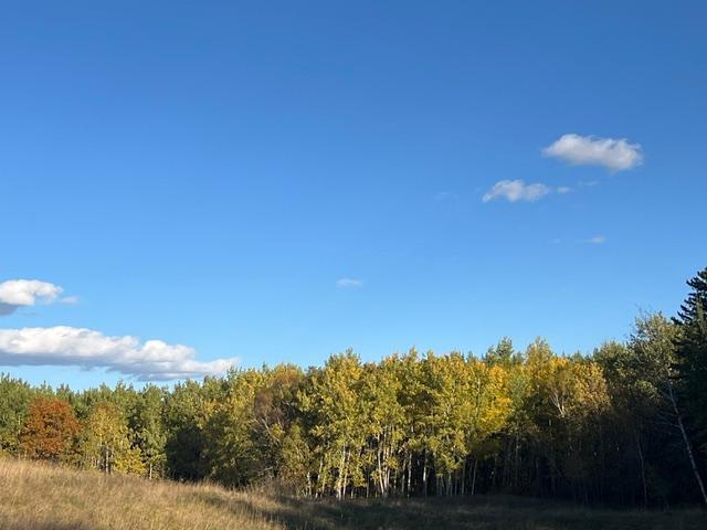 1950 land for sale at 19212 Stockyard Road in Bagley, MN (photo 5 of 18)