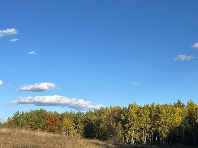 1950 land for sale at 19212 Stockyard Road in Bagley, MN (photo 6 of 18)