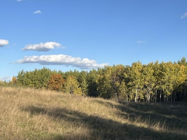 1950 land for sale at 19212 Stockyard Road in Bagley, MN (photo 7 of 18)