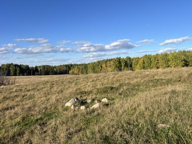 1950 land for sale at 19212 Stockyard Road in Bagley, MN (photo 9 of 18)