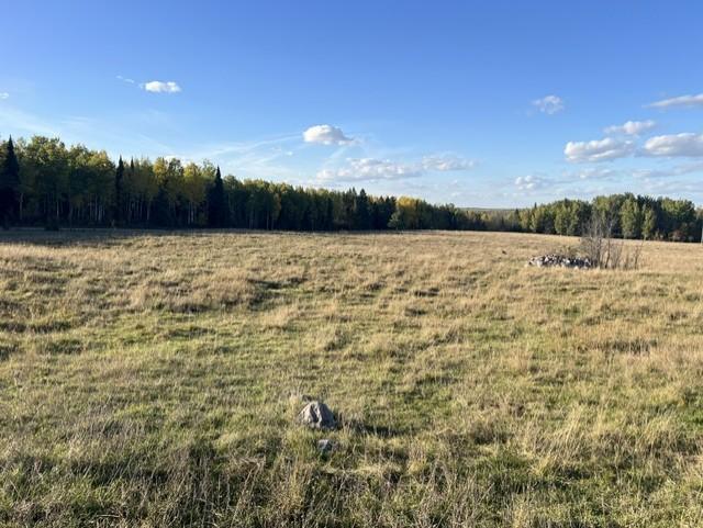 1950 land for sale at 19212 Stockyard Road in Bagley, MN (photo 10 of 18)