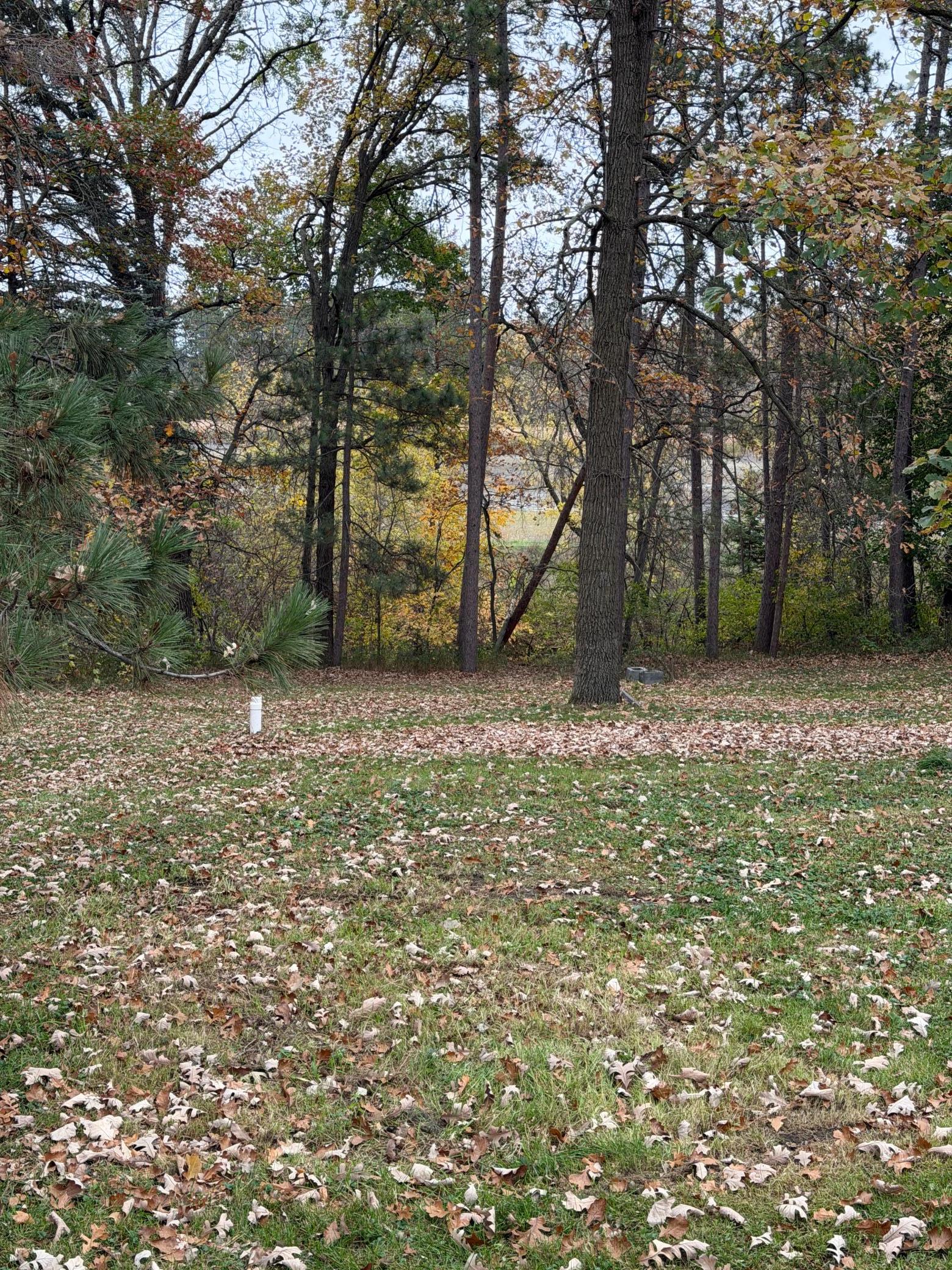 1950 single family home for sale at 23929 Pine Avenue in Osage, MN — 2 bed, 1 bath (photo 3 of 13)