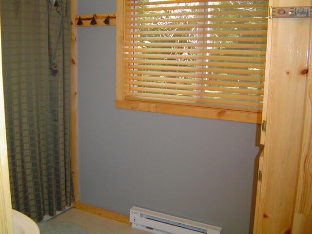 1999 single family home for sale at 307 S Lake Lawrence Road NE in Outing, MN — 1 bed, 1 bath (photo 10 of 13)
