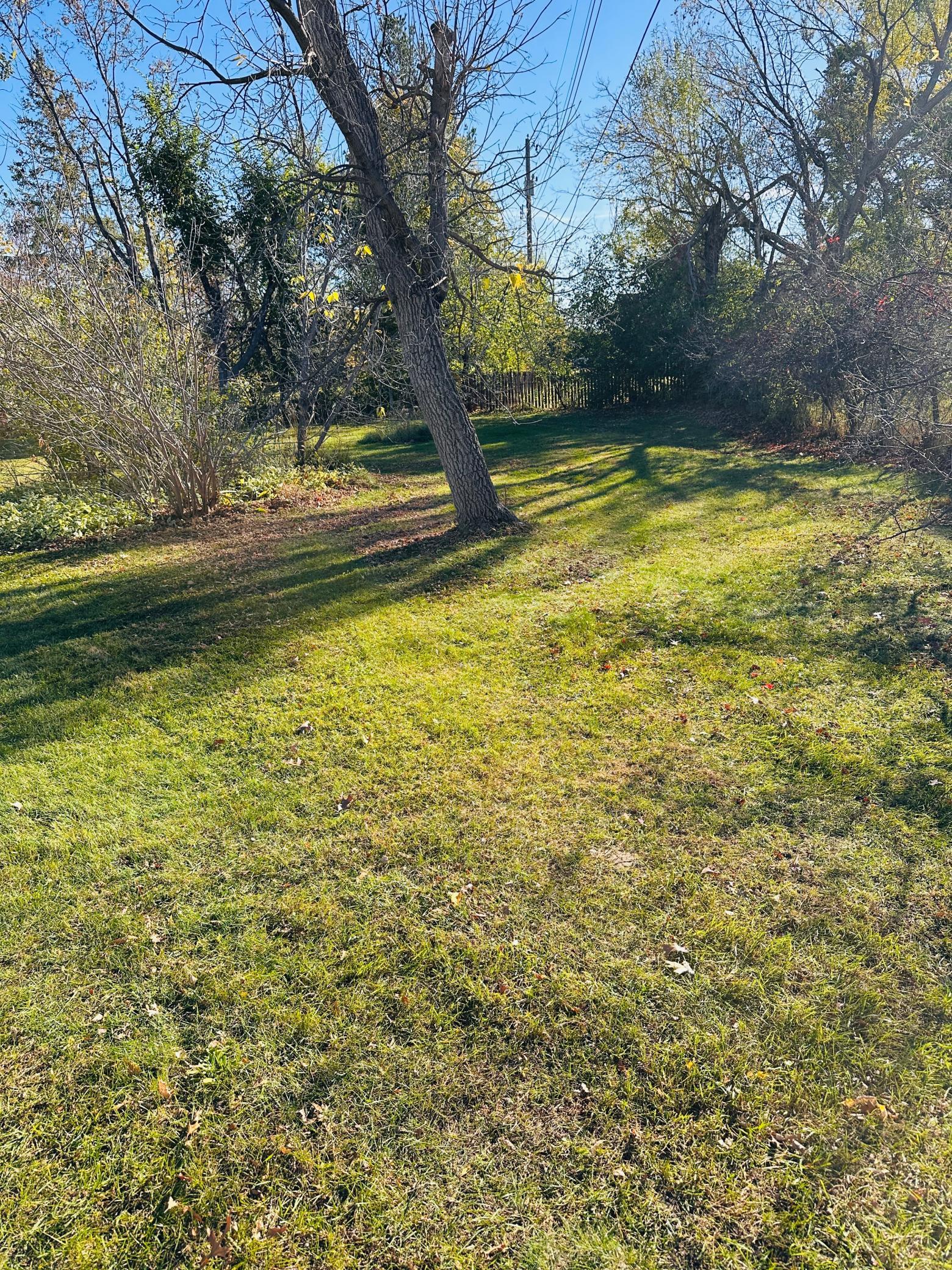1959 single family home for sale at 1318 2nd Street SE in Bemidji, MN — 3 bed, 2 bath (photo 8 of 35)