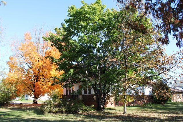 1926 single family home for sale at 324 2nd Avenue NW in Aitkin, MN — 4 bed, 2 bath (photo 39 of 43)
