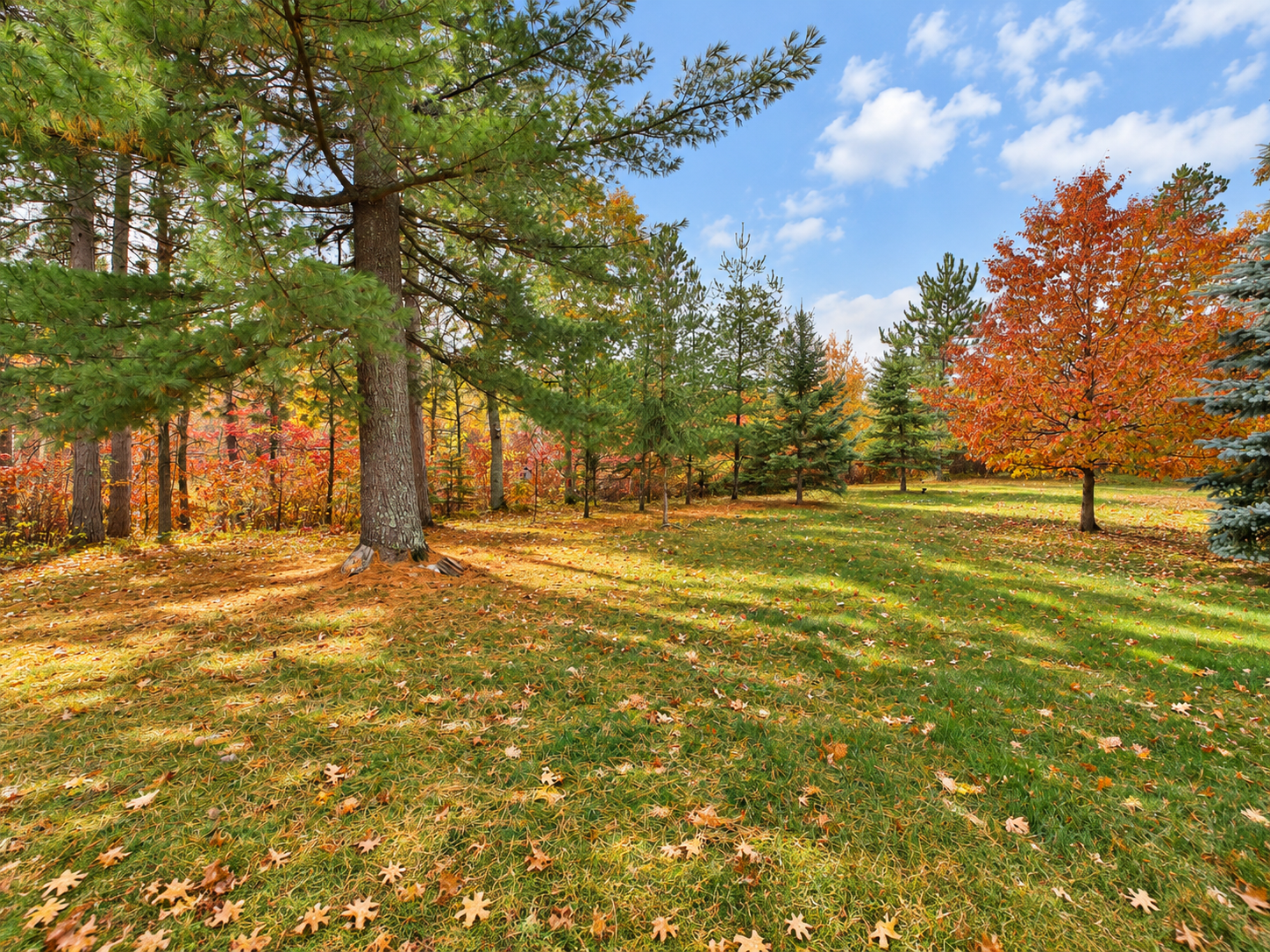 2012 single family home for sale at 6141 Bourbon Lane in Pequot Lakes, MN — 2 bed, 1 bath (photo 34 of 39)