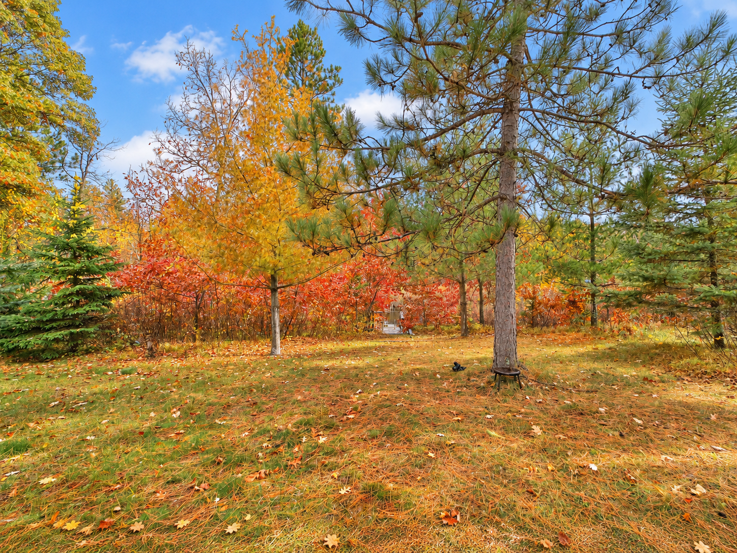 2012 single family home for sale at 6141 Bourbon Lane in Pequot Lakes, MN — 2 bed, 1 bath (photo 35 of 39)