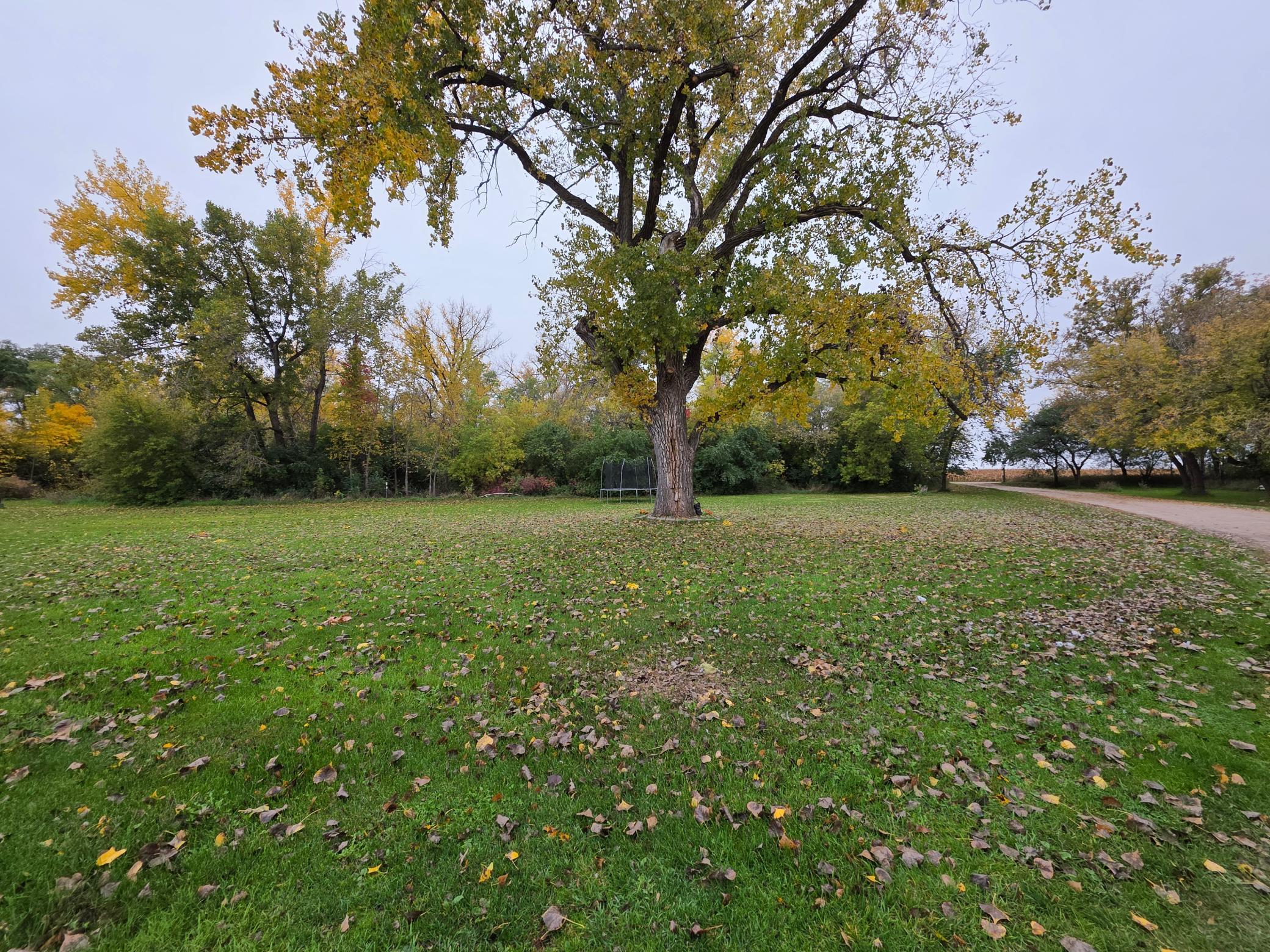 2003 single family home for sale at 19772 160th Street N in Borup, MN — 4 bed, 2 bath (photo 39 of 48)