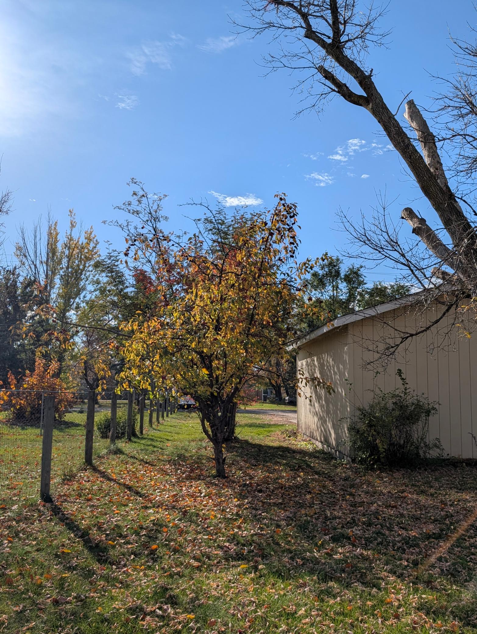 1955 single family home for sale at 717 20th Street NW in Bemidji, MN — 3 bed, 1 bath (photo 13 of 49)