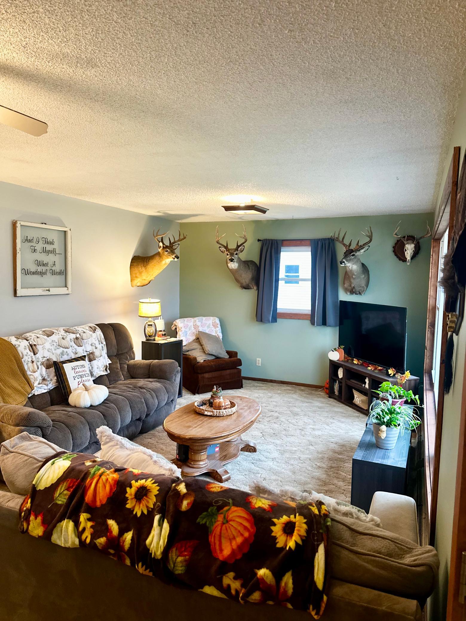 1974 single family home for sale at 111 Muyres Avenue in Carlos, MN — 3 bed, 2 bath (photo 12 of 29)