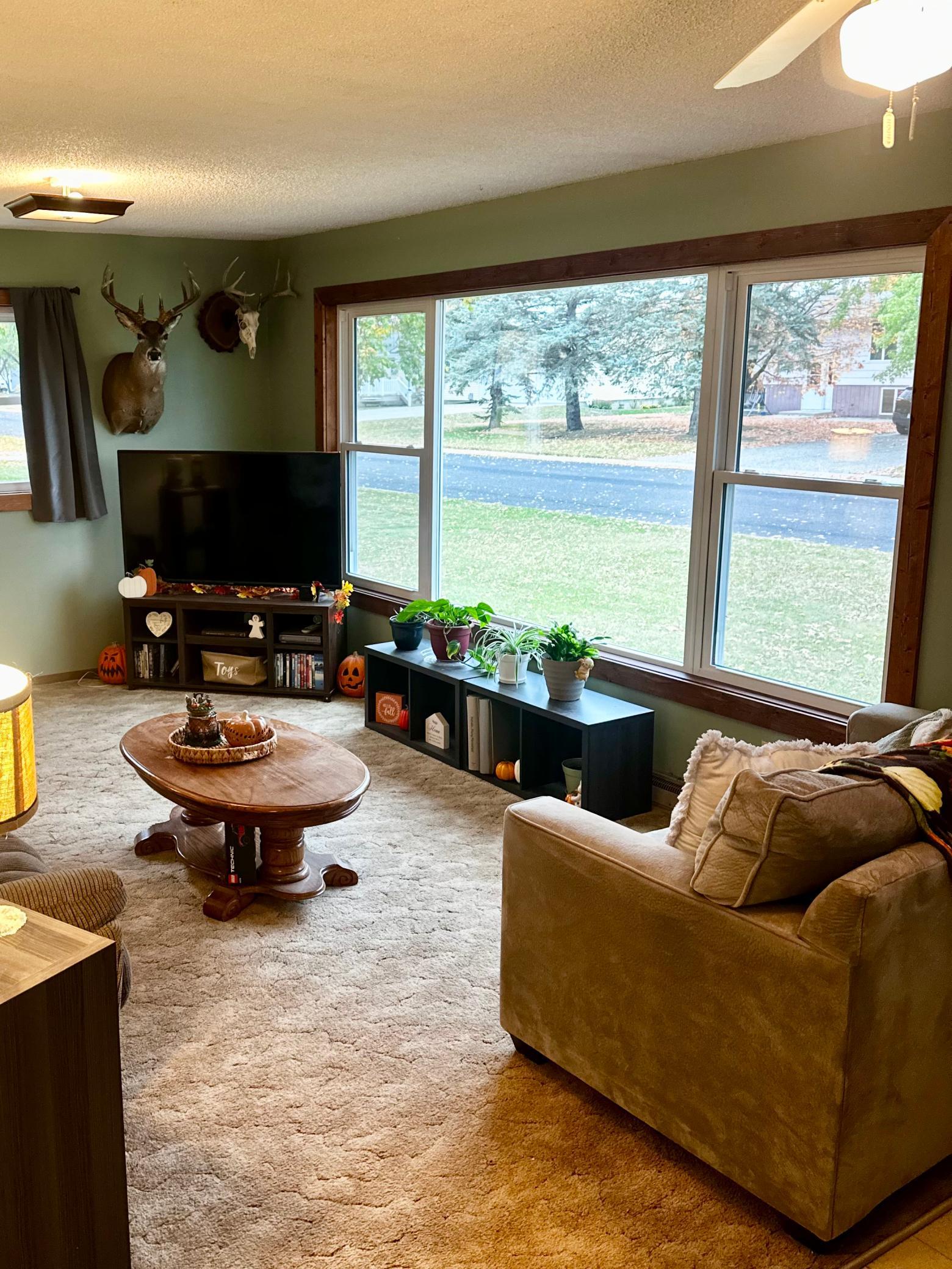 1974 single family home for sale at 111 Muyres Avenue in Carlos, MN — 3 bed, 2 bath (photo 14 of 29)
