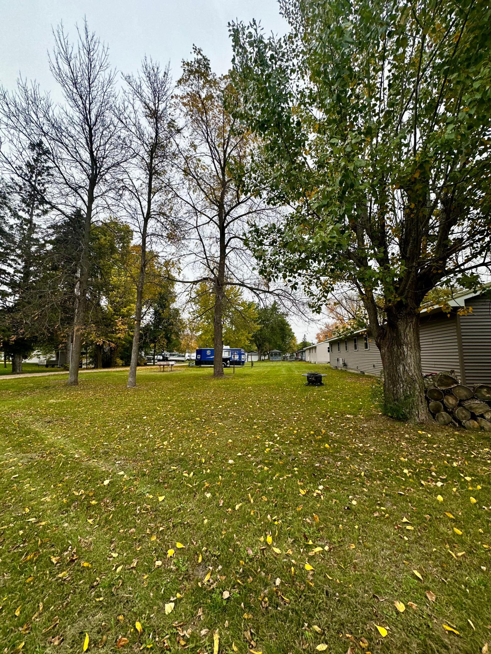 1974 single family home for sale at 111 Muyres Avenue in Carlos, MN — 3 bed, 2 bath (photo 7 of 29)