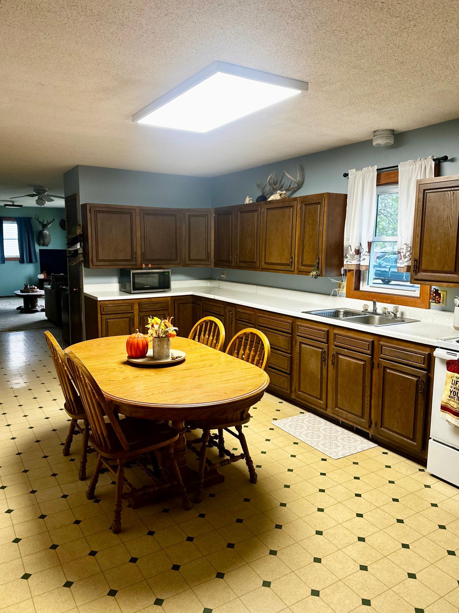 1974 single family home for sale at 111 Muyres Avenue in Carlos, MN — 3 bed, 2 bath (photo 9 of 29)