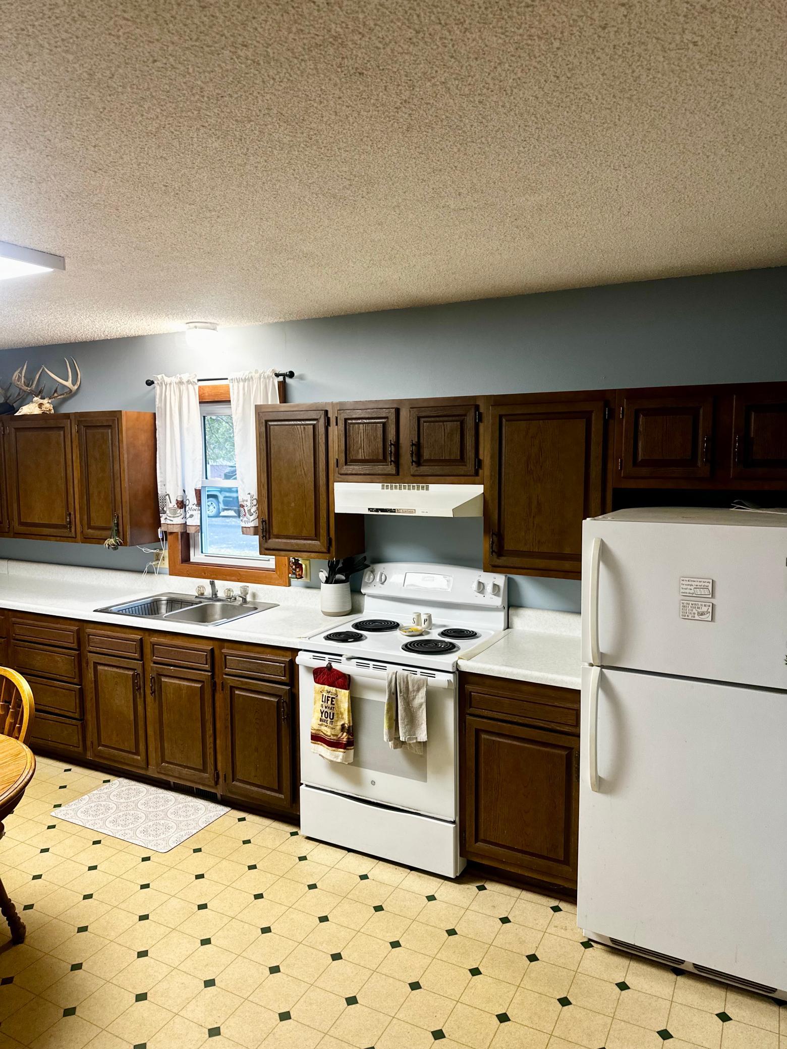 1974 single family home for sale at 111 Muyres Avenue in Carlos, MN — 3 bed, 2 bath (photo 10 of 29)