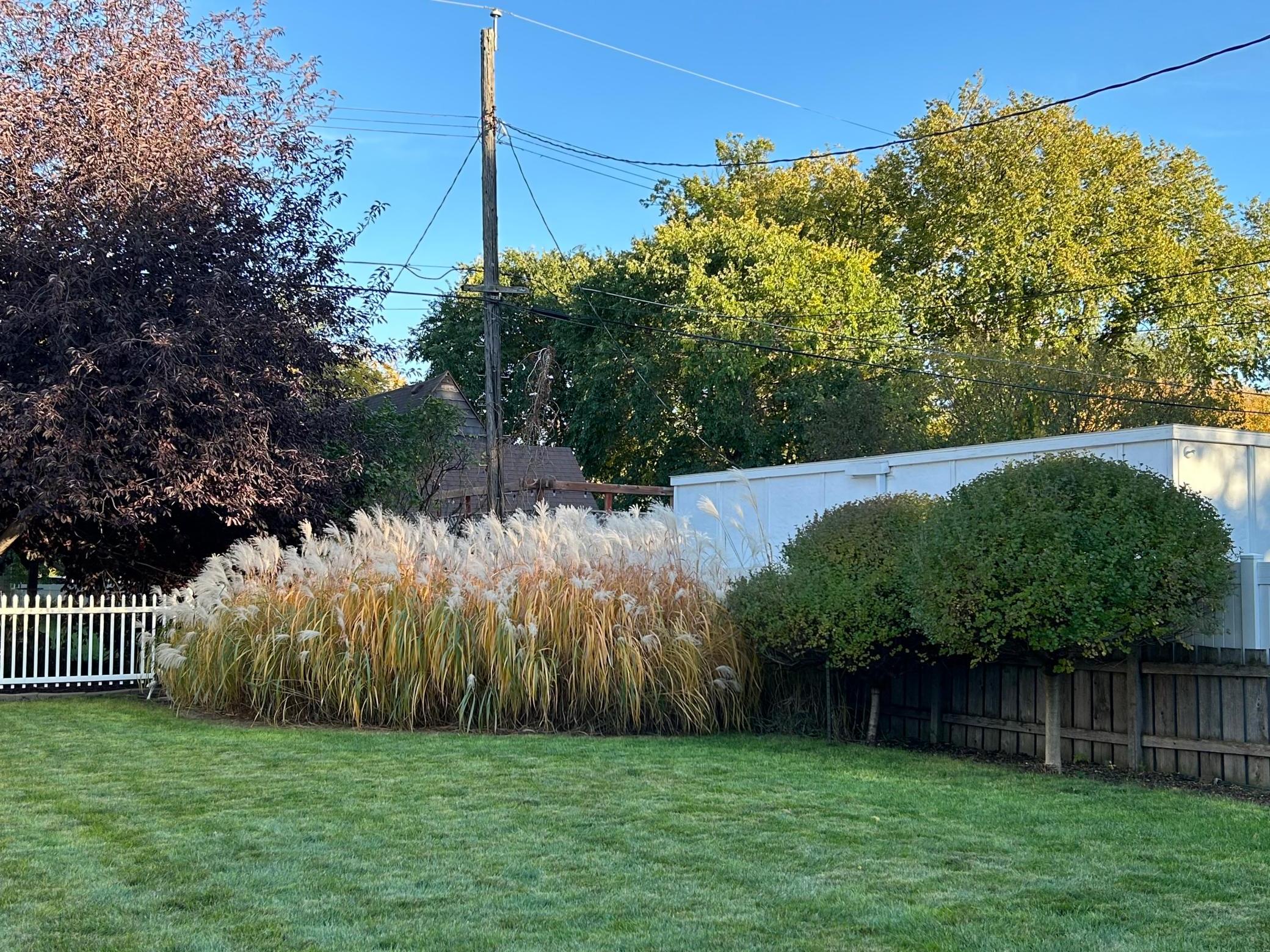 1940 single family home for sale at 1546 8th Street S in Fargo, ND — 3 bed, 2 bath (photo 45 of 45)