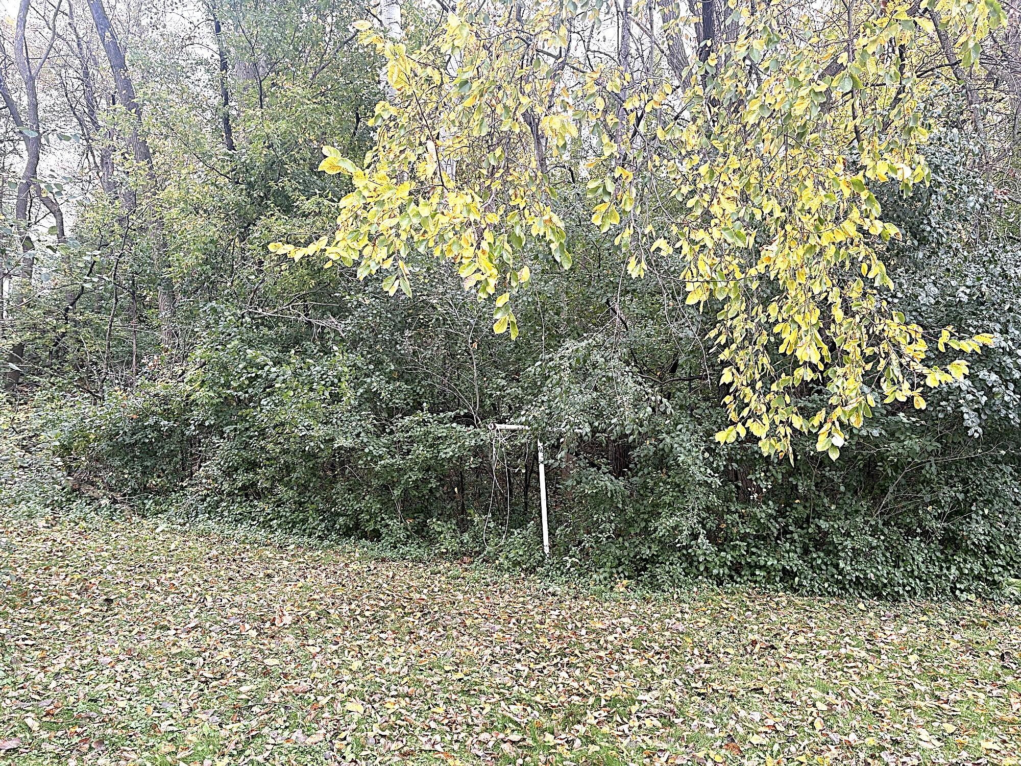 1962 single family home for sale at 415 W Adolphus Avenue in Fergus Falls, MN — 2 bed, 1 bath (photo 5 of 19)