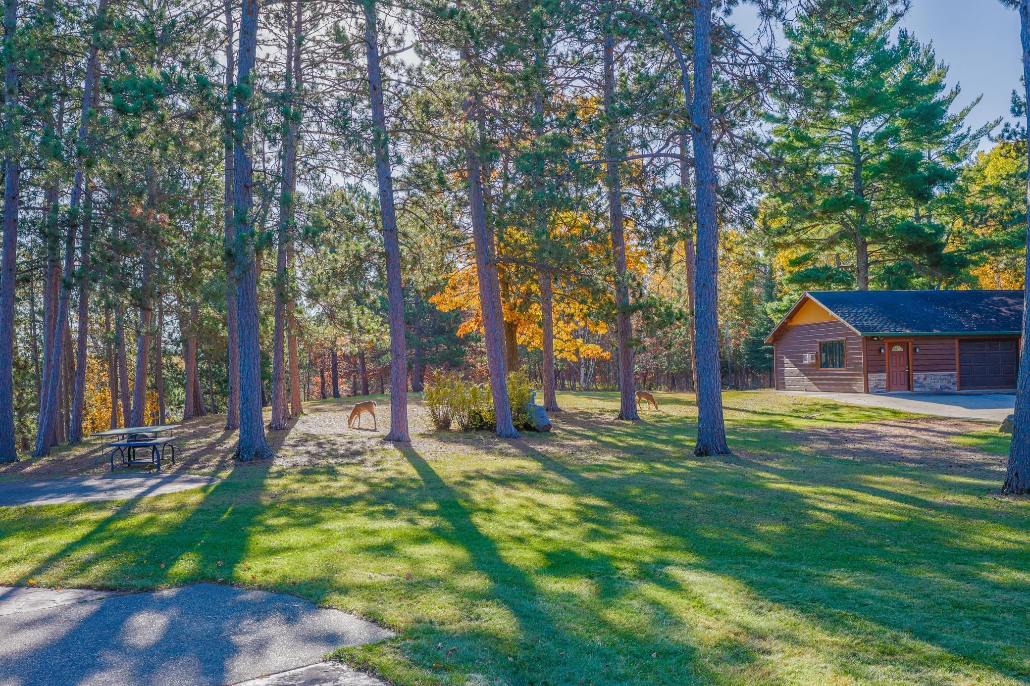 1979 single family home for sale at 17312 County 40 in Park Rapids, MN — 5 bed, 4 bath (photo 77 of 90)