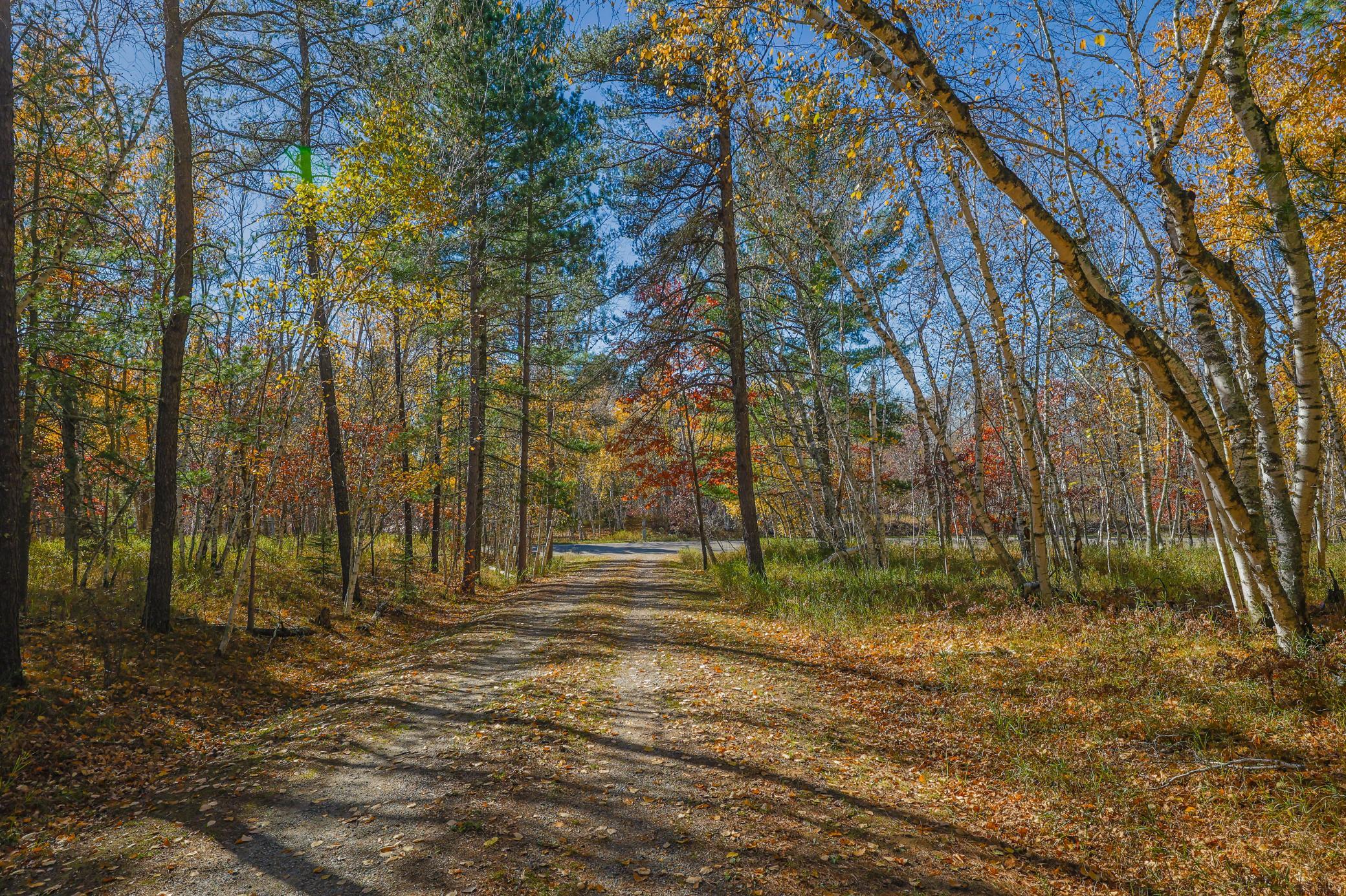 1979 single family home for sale at 17312 County 40 in Park Rapids, MN — 5 bed, 4 bath (photo 81 of 90)