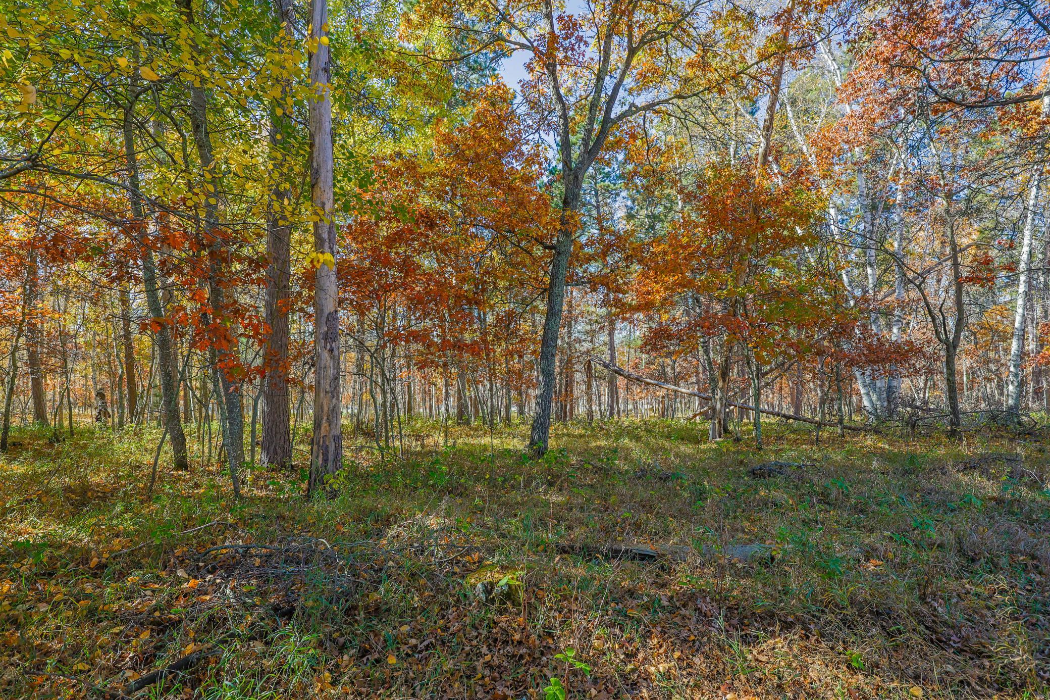 1979 single family home for sale at 17312 County 40 in Park Rapids, MN — 5 bed, 4 bath (photo 82 of 90)