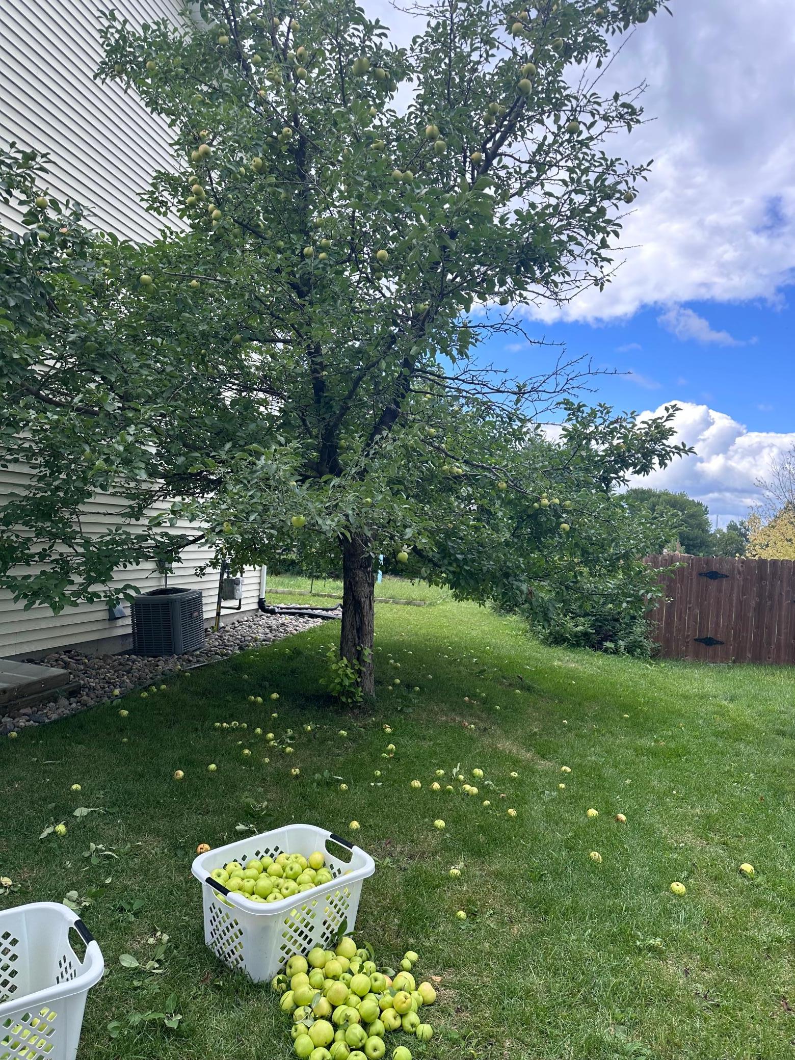 1993 single family home for sale at 512 12th Street E in West Fargo, ND — 4 bed, 4 bath (photo 31 of 44)
