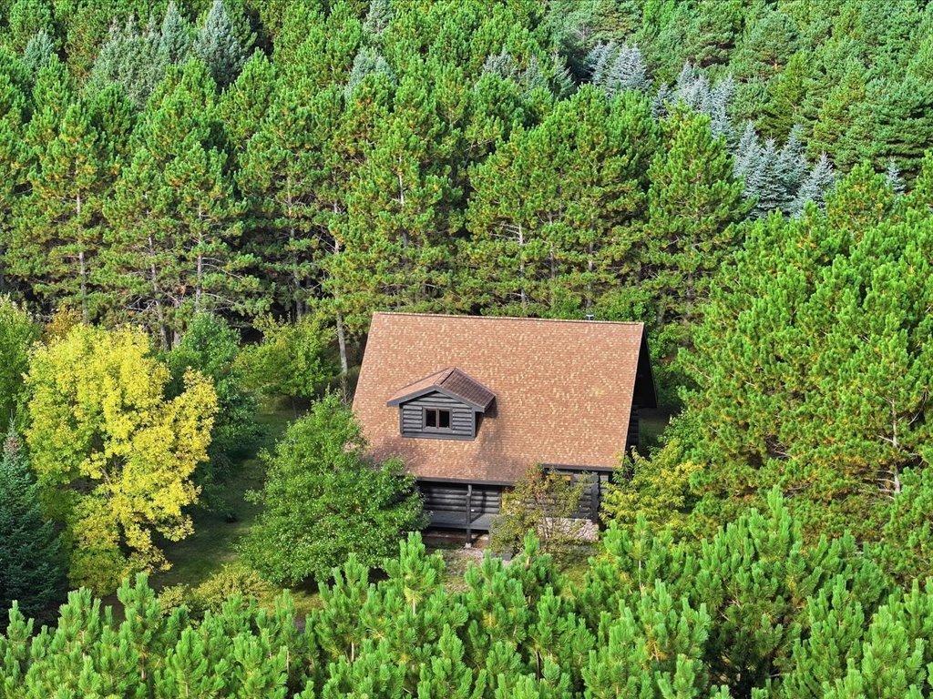 2010 single family home for sale at 10 Acres 25388 148th Street in Staples, MN — 2 bed, 2 bath (photo 4 of 57)