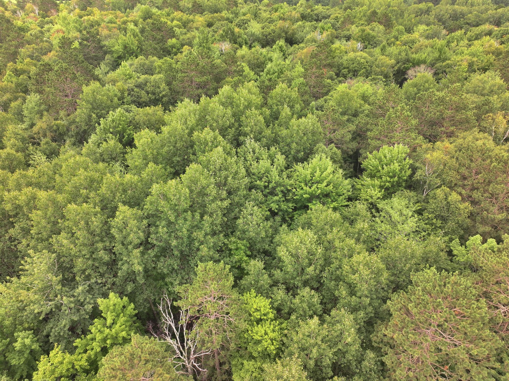 1994 single family home for sale at 21920 County 2 in Nevis, MN — 2 bed, 1 bath (photo 25 of 29)
