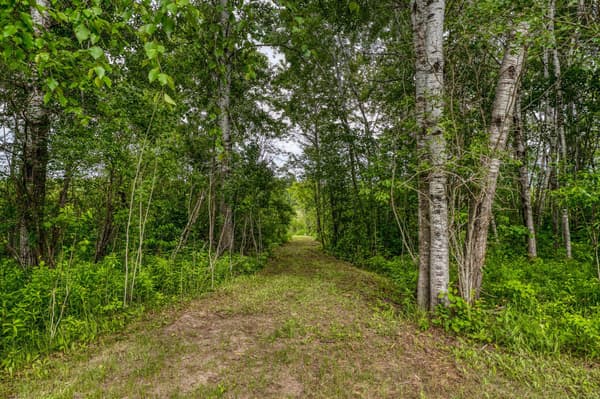 Single Family for sale at 39332 Orchid Trail, Laporte, MN $599,900 3 bed 3 bath 1,922 sqft — MLS# 7097778